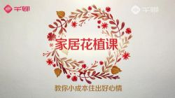 12�üҾӻ�����ֲ�Σ�����С�ɱ�ס�������飨������Ƶ��ᣩ�ٶ����̱���