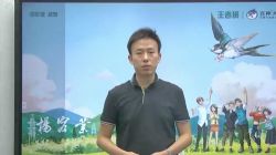 2020���������������߰����꼶�����񣩣�������Ƶ������ᣩ�ٶ�����