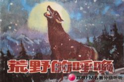 ��֦FM�����ּ�����.��Ұ�ĺ�����12��+��