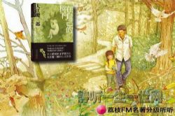 ��֦FM�����ּ�����.���Լ������£�13��+��