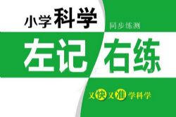 2021张晓宁小学科学3-6上下册 左记右练+测试卷PDF 百度网盘保存