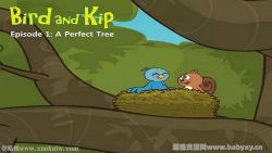 少儿英语启蒙动画6鸟和小松鼠 百度网盘