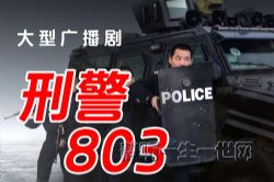 大型广播连续剧刑警803新版(40-188部)
