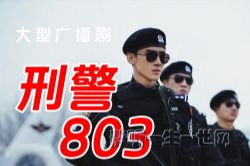 大型连续广播剧刑警803最新版本(189-208部)