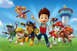 凯叔讲故事汪汪队立大功第五季(完结)