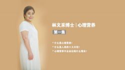 童年缺失的心理营养如何在成年后补足(完结)(壹心理)百度网盘