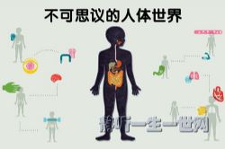 ����˼����������磨ȫ����