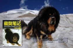 ����ʼ�֮�����Կɿ������������������