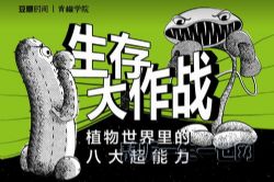 ����ʱ���ཷѧԺ���������ս����ֲ��������İ˴�����