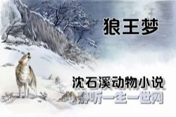 沈石溪动物小说狼王梦(赵兰20集)
