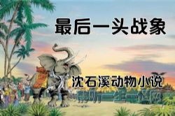 沈石溪动物小说最后一头战象(13集)