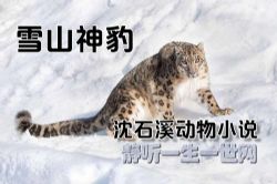 ��ʯϪ����С˵ѩɽ��