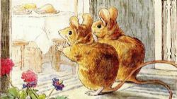 世界上最优美的童话(睡前故事)