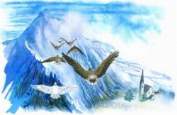 世界著名童话(睡前故事)