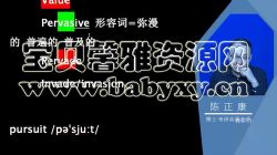 2021考研英语陈正康(11.5G高清视频)百度网盘