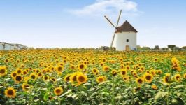 ����ֲ�����磨˯ǰ���£�