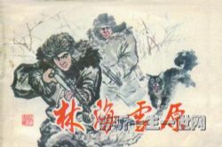 袁阔成评书林海雪原(全45回.32kbps.300MB)