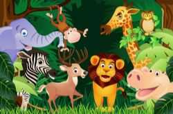 ʨ�ӵĹ��£�˯ǰ���£�