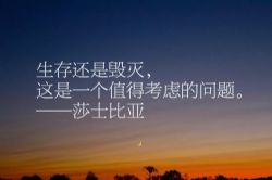 ɯʿ���Ǿ�����������������ſΣ�