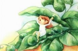 现代童话寓言(睡前故事)