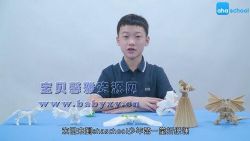 芝麻学社折纸的艺术(完结)(高清视频)百度网盘