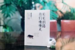 ����У�������·�����������ߣ�ϲ�����ž�Ʒ�����飩