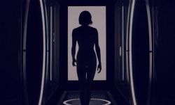 《7Truth-1尸亿》紫襟故事(喜马拉雅精品有声书)