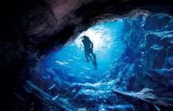 �������������Ͻ���£�ϲ�����ž�Ʒ�����飩