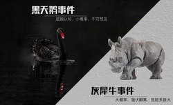 ����죨ϲ�����ž�Ʒ�����飩