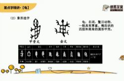 ���ѧ����ͳ�����꼶����ͬ���γ̣���ᣩ��29.5G������Ƶ���ٶ�����