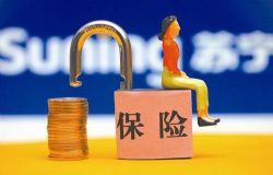 Ҷ���ࣺ�����װ����գ���ᣩ��ϲ�����ţ�