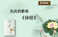 ���ѧ��ȫ���Ǵ��������꼶��ٰࣨ2.88G�ֱ���596P��Ƶ���ٶ����̱���