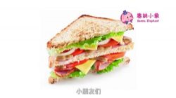 ֥��ѧ�罨�����ɿΣ���ᣩ��������Ƶ���ٶ����̱���