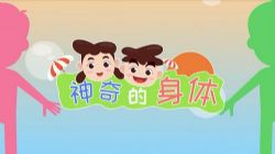 ֥��ѧ���Խ����������ӿΣ���ᣩ��������Ƶ���ٶ����̱���