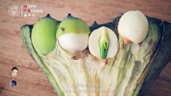 ֥��ѧ��������ֲ��Σ���ᣩ��������Ƶ���ٶ����̱���