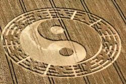 周易大师(纪涵邦)(120回)