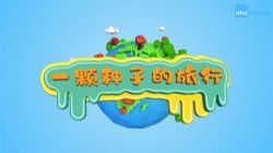 ֥��ѧ�����ֲ��ȥ���У���ᣩ��������Ƶ���ٶ����̱���