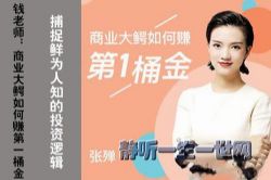 钱老师:商业大鳄如何赚第一桶(完结)(喜马拉雅)