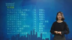 新东方新标准日本语王晶日语初级讲练结合(30.1G高清视频)百度网盘保存