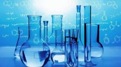 2021�߿���ѧ��ѡ���ϰ���61.6M���ٶ����̱���