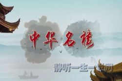 2020年百家讲坛中华名楼(第二部)(播讲:广州大学曾大兴教授)