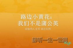 ����Сѧ����·�ߵ�ֲ��ѧ����ᣩ