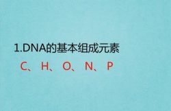 高途2020高一生物徐京精华课(1.46G高清视频)百度网盘