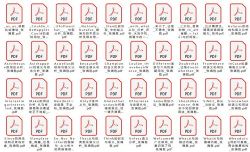 张满胜112学术论文(152M PDF文件)百度网盘保存