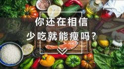 荔枝微课田珂:明星都在用的饮食方法(1.45G标清视频)百度网盘