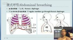 明晓经络瑜伽(5.05G高清视频)百度网盘