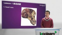 新东方新概念英语第四册薛冰48课时(8.31G标清视频)百度网盘