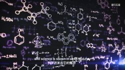 ̽�����������˫���ѧ���磨ϲ�����ţ�����ᣩ��2.91G������Ƶ���ٶ�����