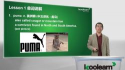 新东方新概念英语第三册公共部分视频教程(6.01G标清视频)百度网盘保存