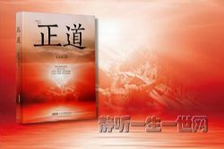 正道-一个幸运的公务员的故事(全48集)